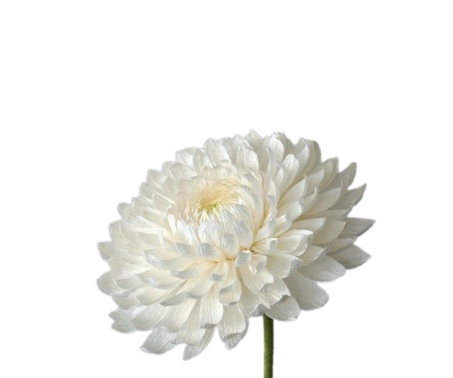Floral decor